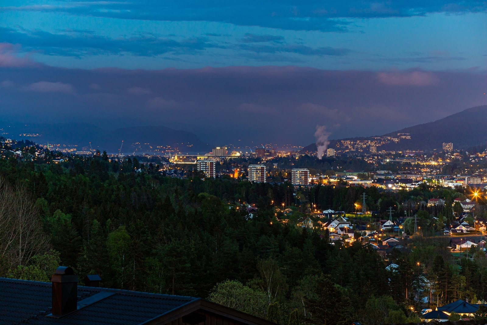 Zoom in bilde mot Åssiden/Drammen Galleribilde