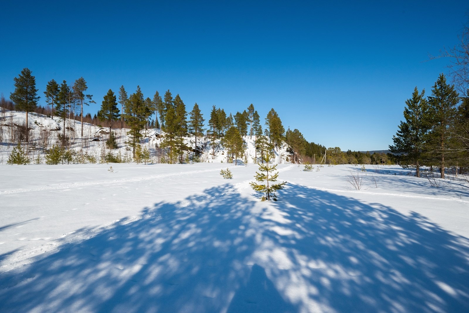 I umiddelbar nærhet er det flotte områder for friluftsliv, som byr på god rekreasjon året rundt Galleribilde
