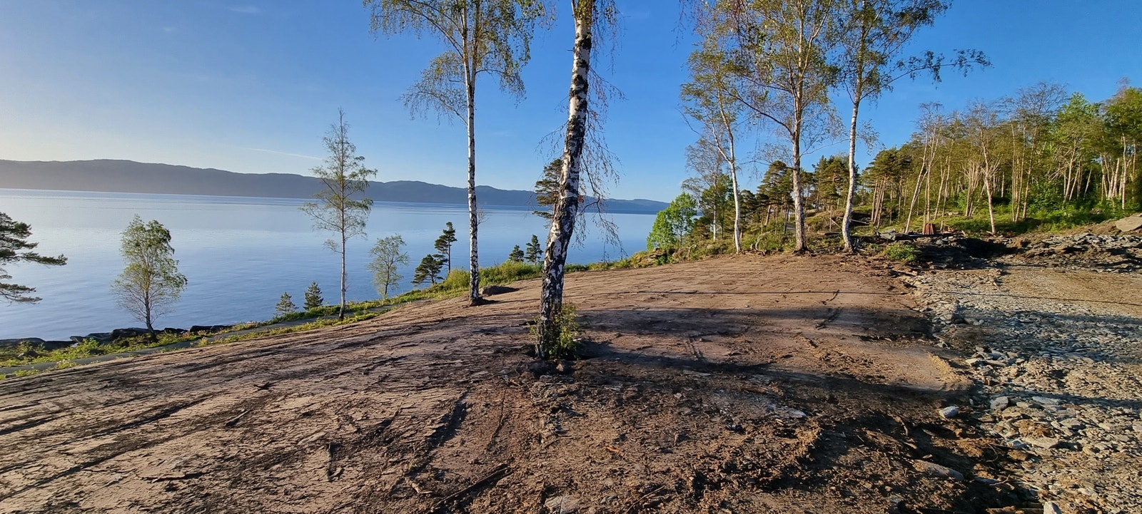 Tomt 60 Galleribilde