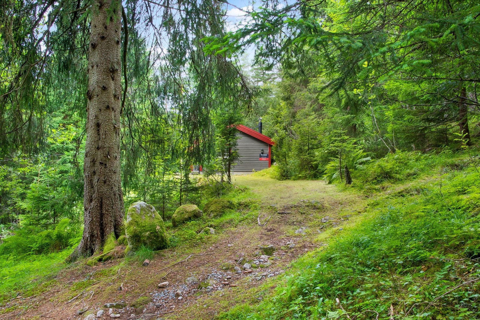 Sti opp til hytten. Galleribilde