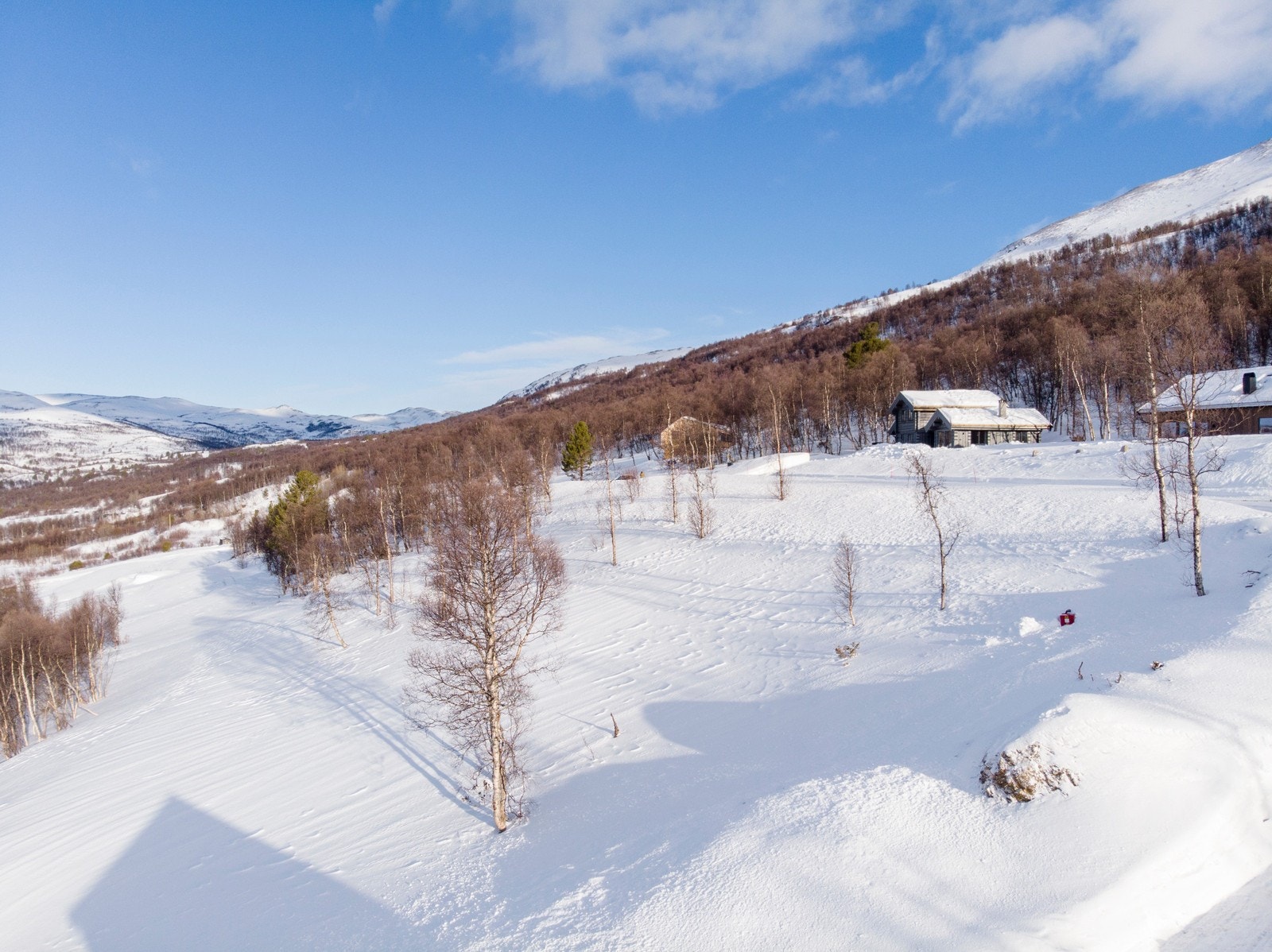 Kontakt gjerne Ivar Vognild på tlf. 909 77 469 om du har spørsmål eller ønsker visning Galleribilde