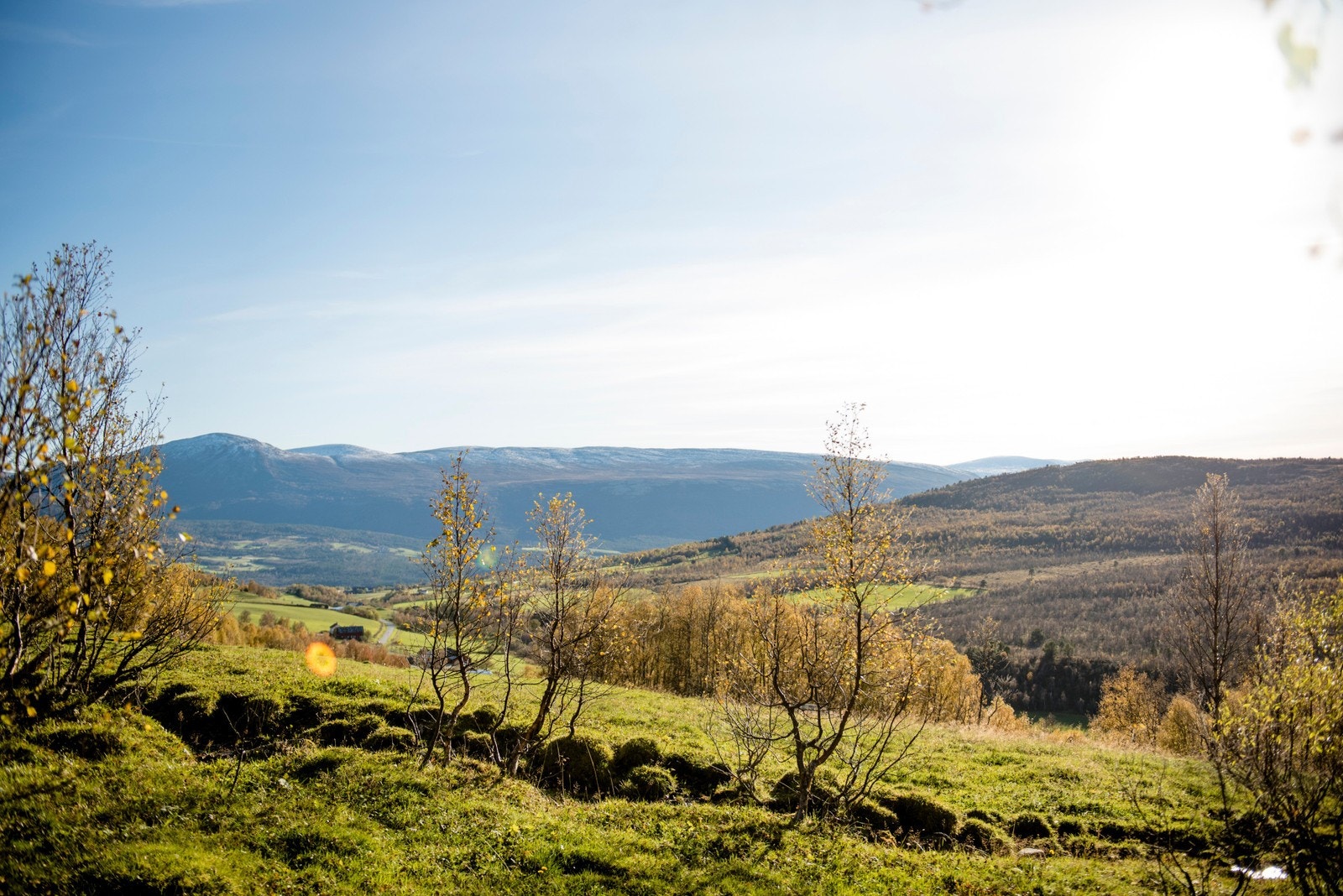 Midtsommer er det sol fra 07.00 til 23.00 med utsikt til Gjevilvassdalen i vest og Dovrefjell i sør Galleribilde