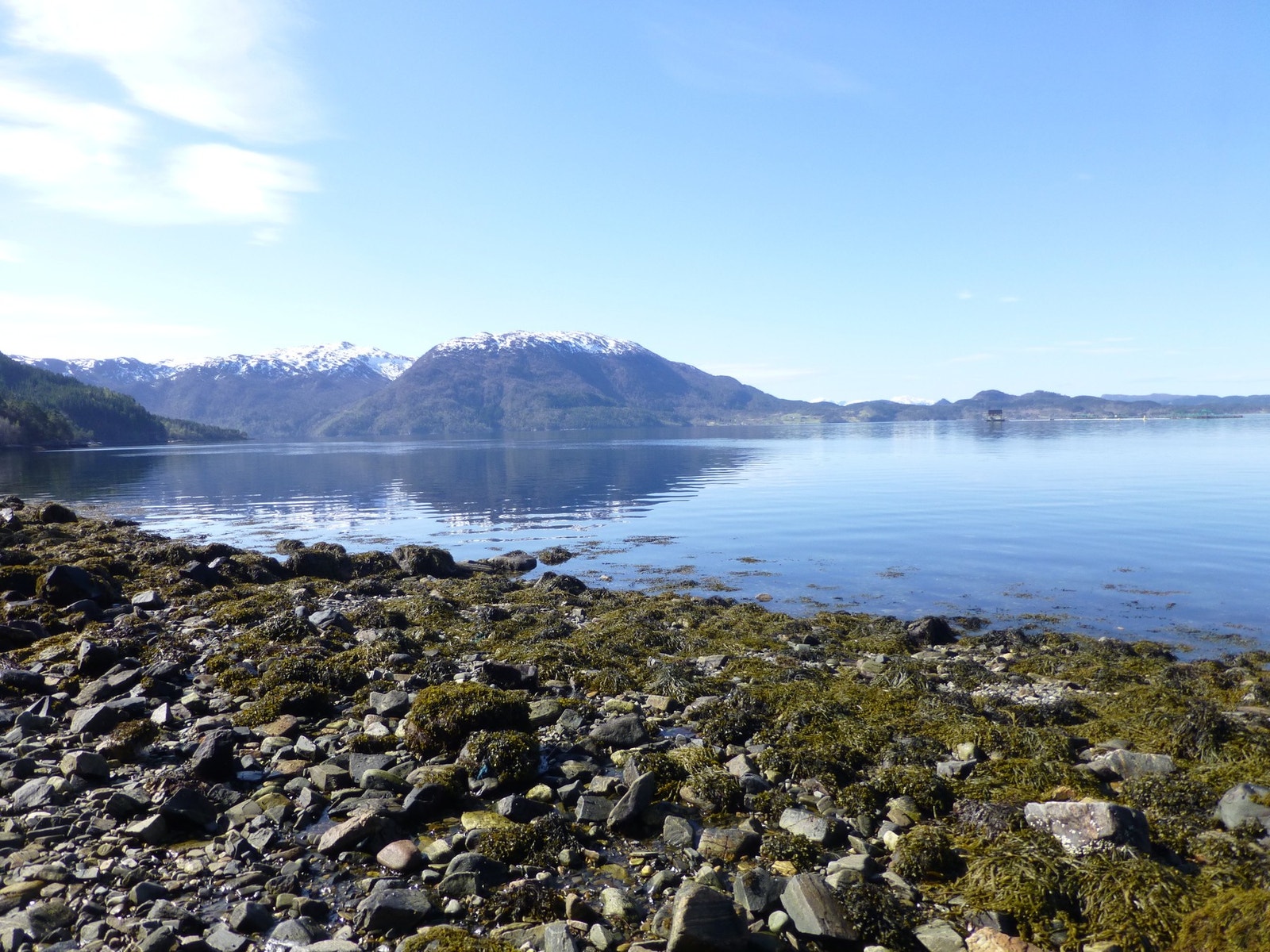 Flott i fjæra! Galleribilde