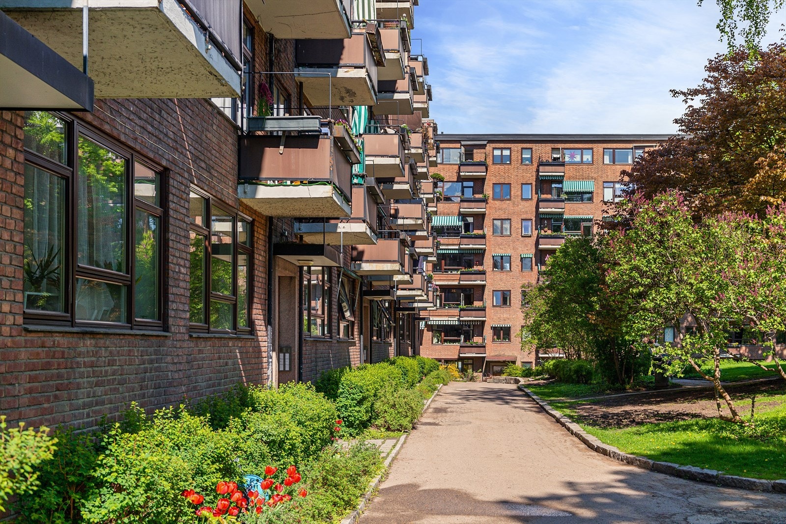 Oppgangen ligger i Balkebyparken med privat vei som gjør både innflytting, pakking av bil før helgeutflukter og Foodora-leveranser til en lek. Galleribilde
