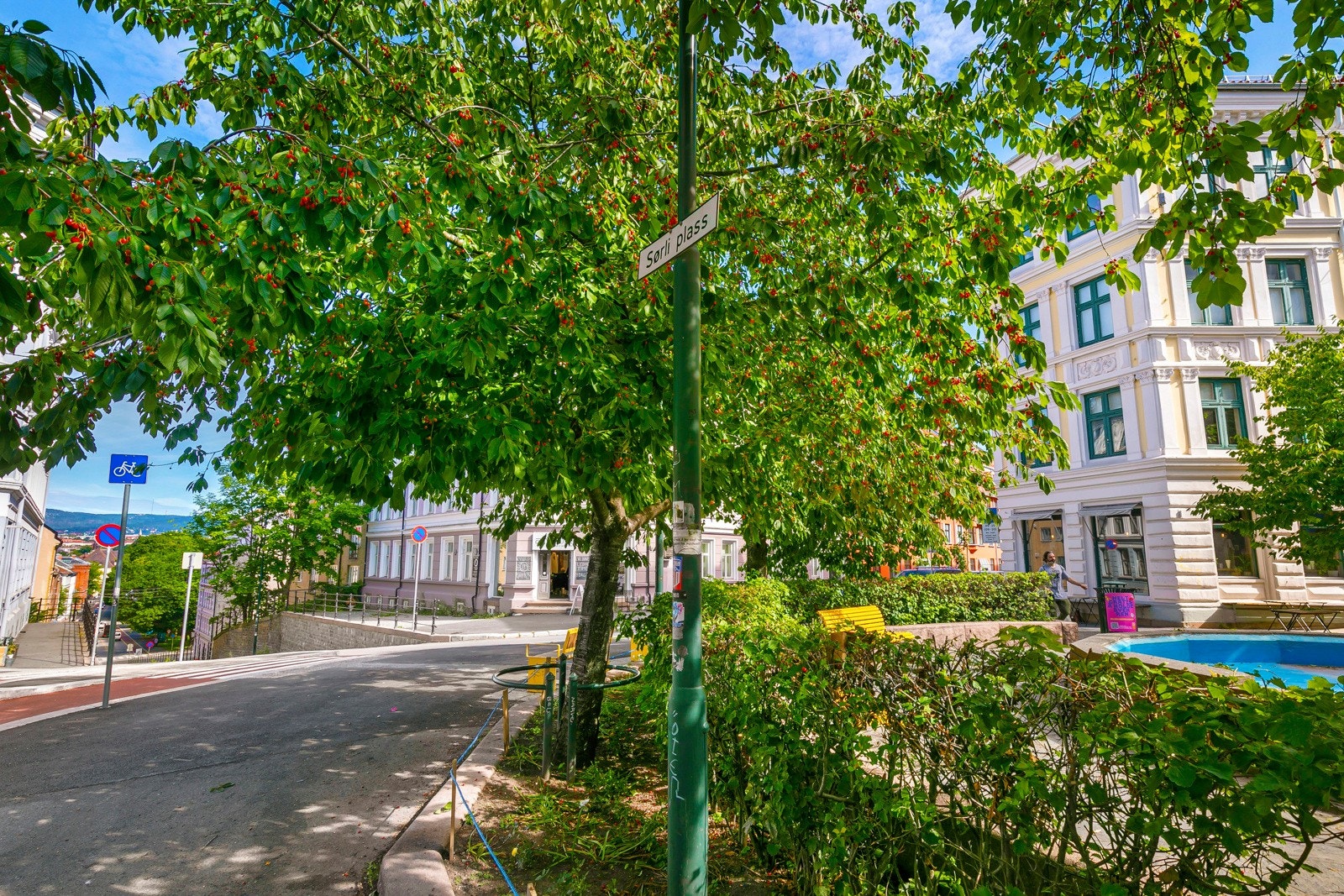 Grønt og frodig på Sørli plass. Galleribilde