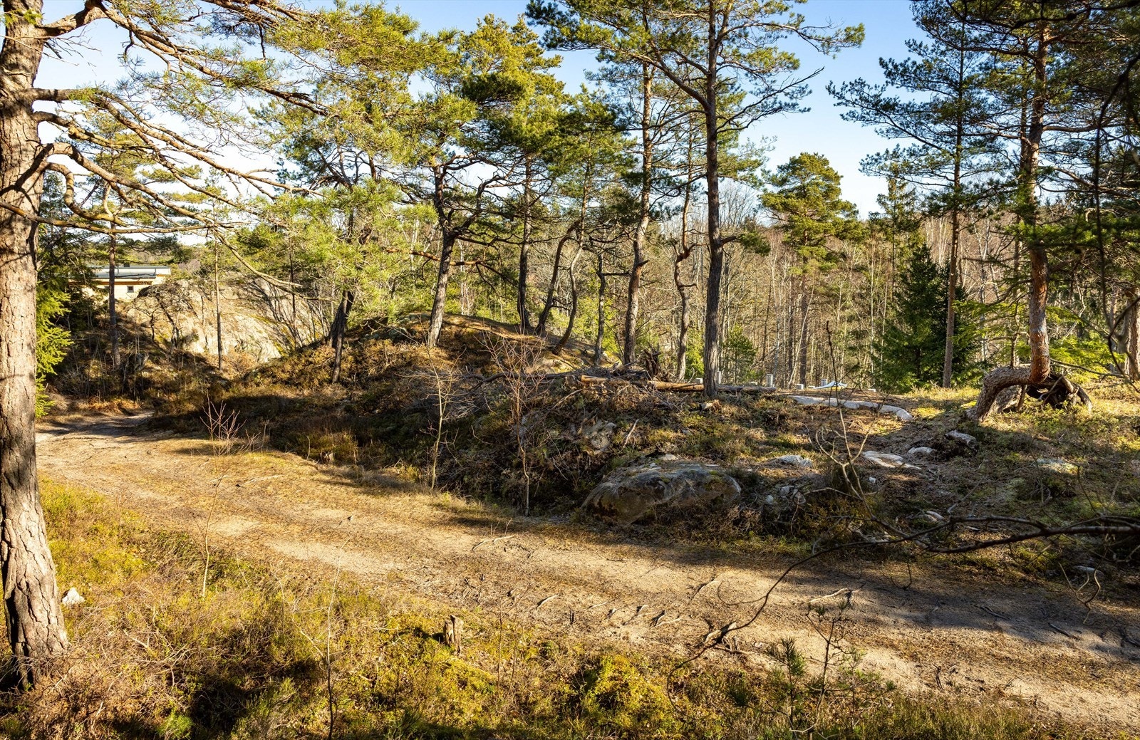 Gangveien forbi og inn til tomten. Størsteparten av øya er dekket av skog av forskjellig slag - furu, gran, bøk og eik. Galleribilde