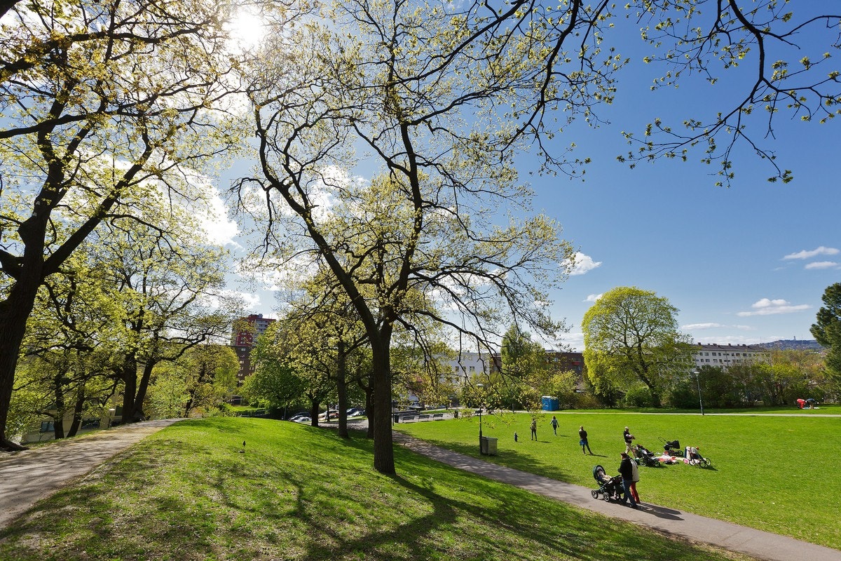 Bjølsenparken rett i nærheten. Galleribilde