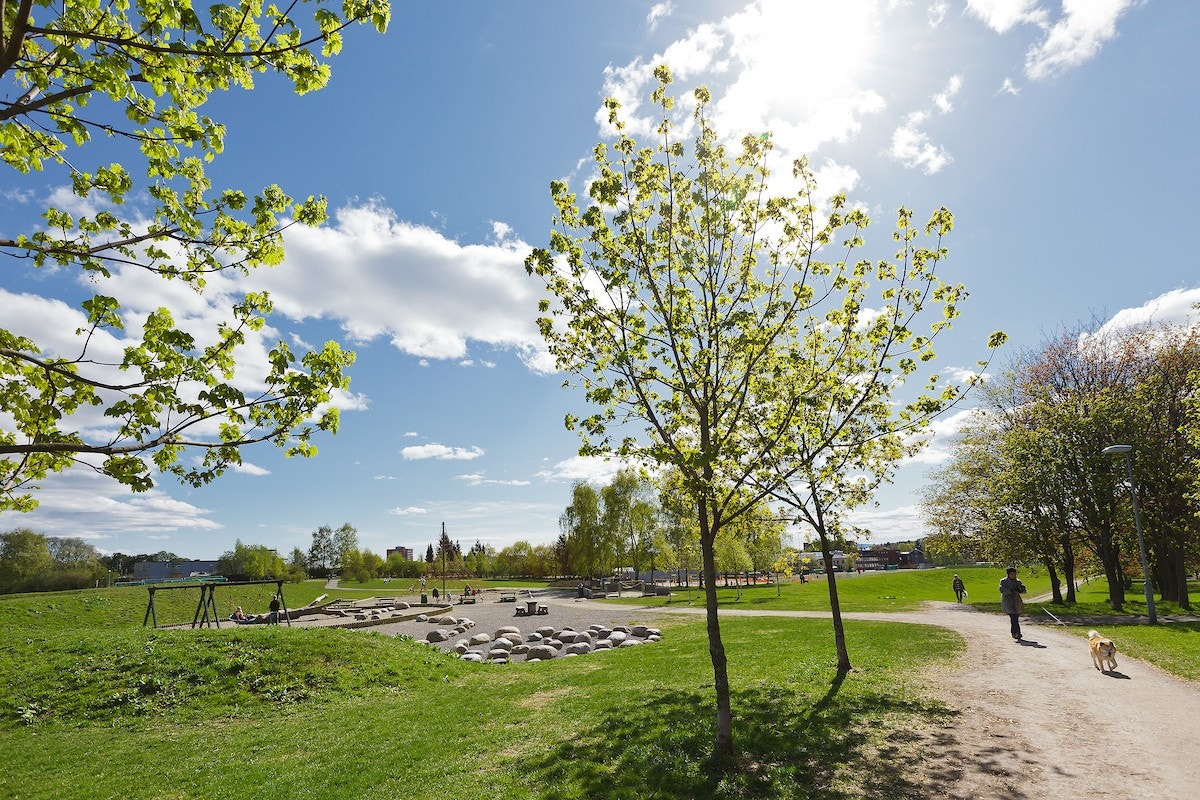 Voldsløkka som nærmeste nabo. Galleribilde