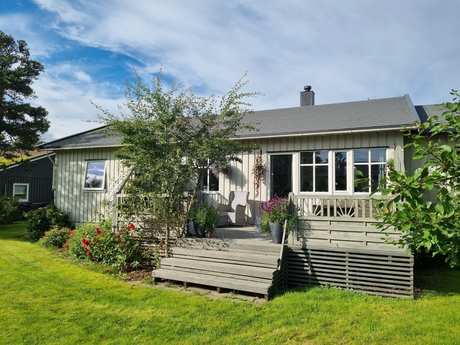 Pen og frodig hage med diverse beplantning (Privat foto) Galleribilde