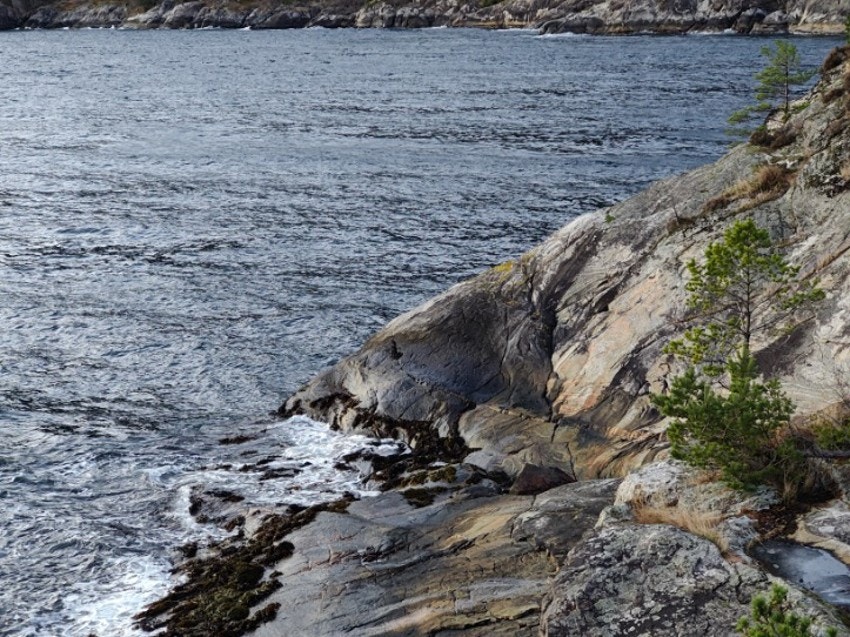 Rikelig med sjøgrense, hopp i fjorden Galleribilde