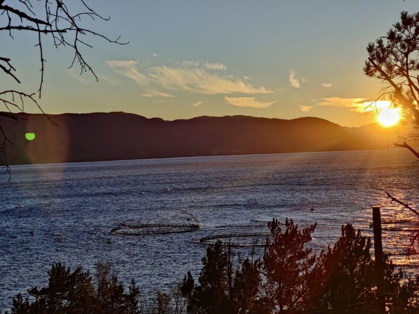 Solsiden, vakker solnedgang i høst Galleribilde