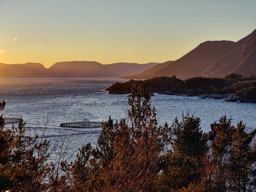 Sognefjorden på sittt beste en høst dag Galleribilde
