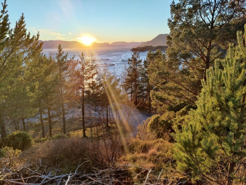 sett fra hyttefeltet Galleribilde