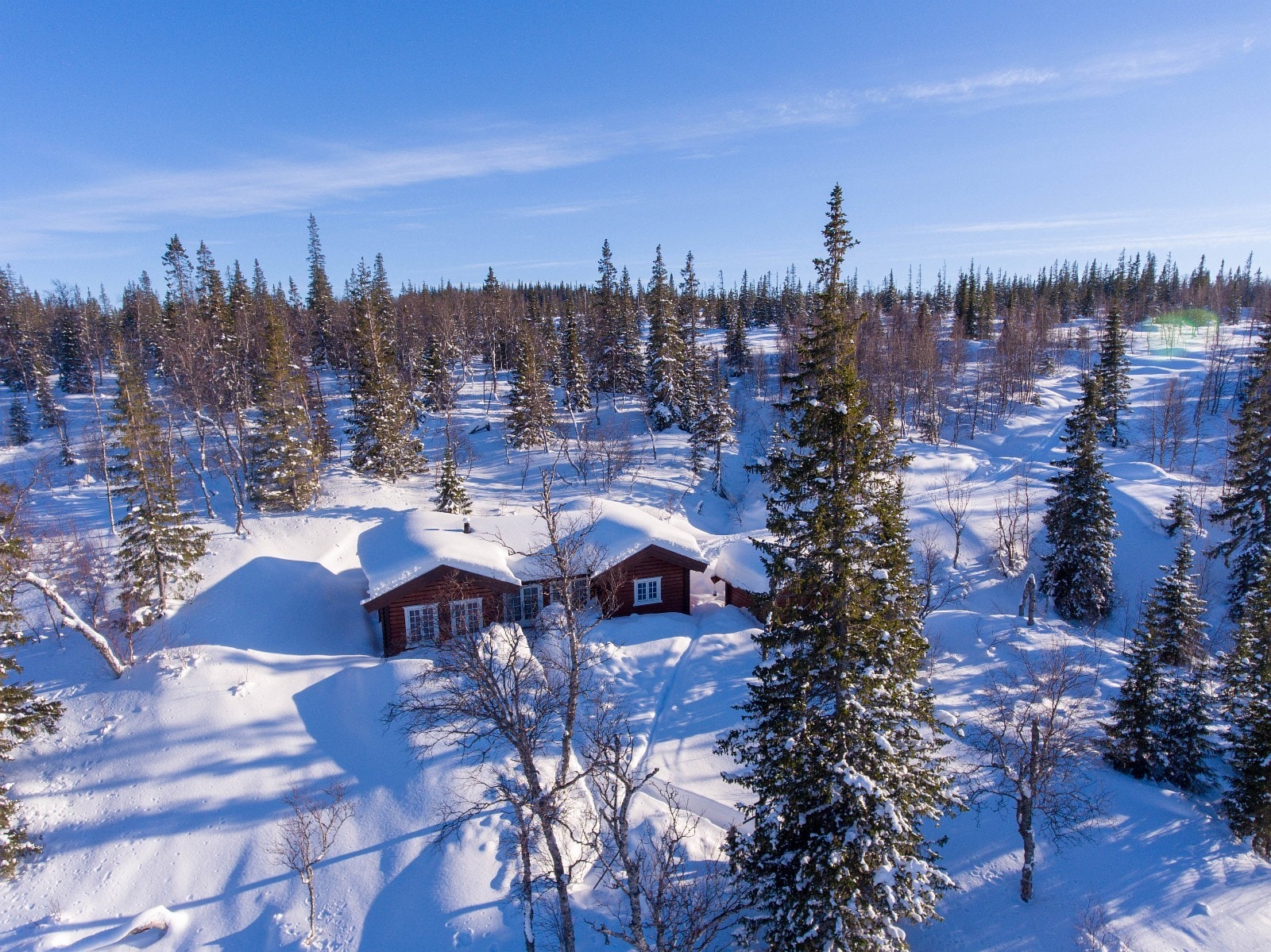 De 17 tomtene i Søråsen hyttegrend er fordelt på et område på hele 350 mål Galleribilde