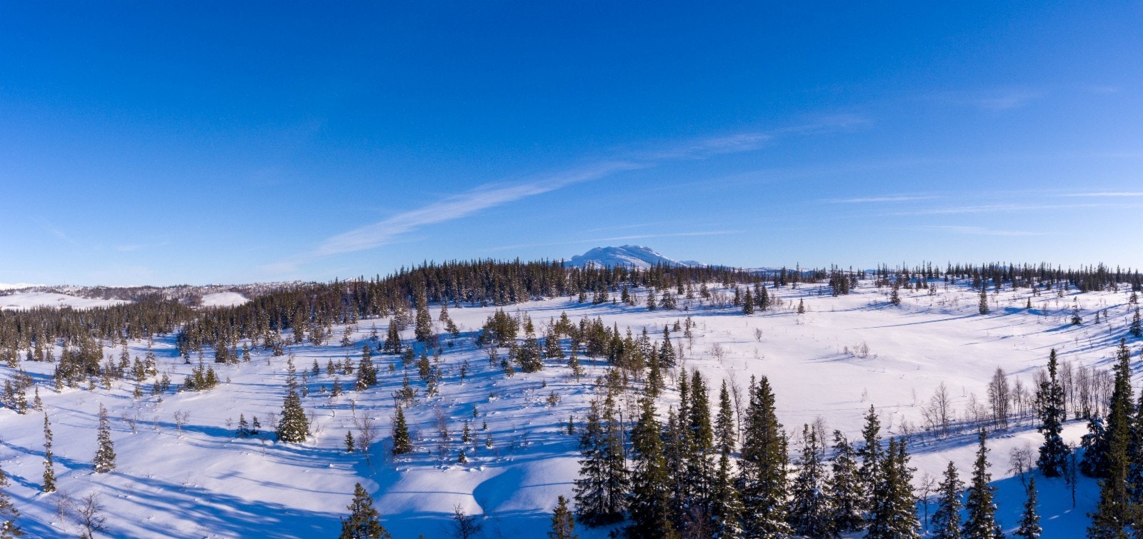 I bak-kant av Søråsen hyttegrend mot øst Galleribilde