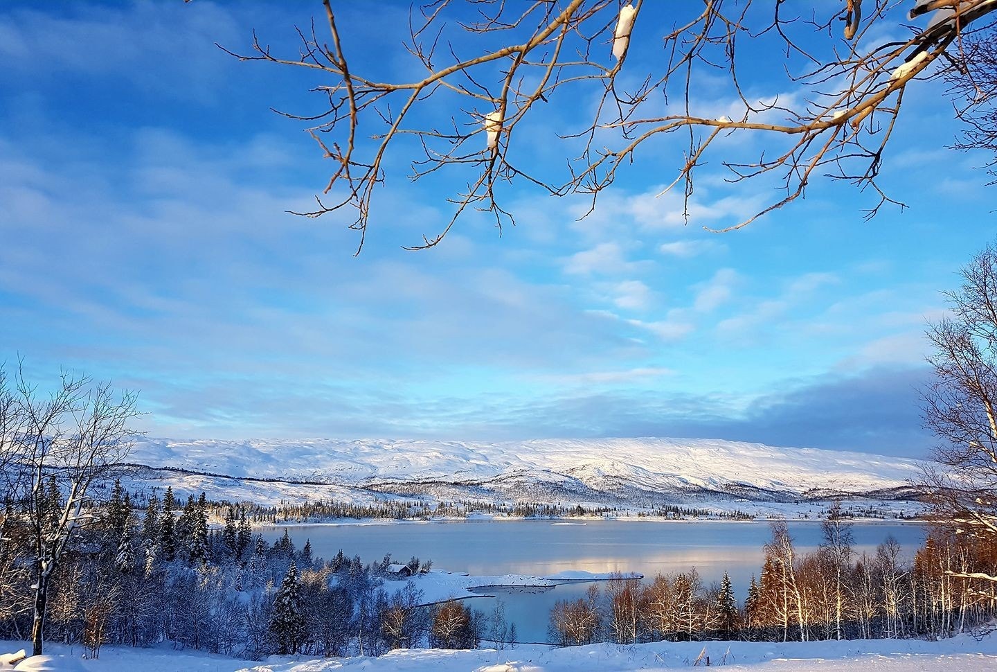 Foto: Kristin A. Bustadmo Galleribilde