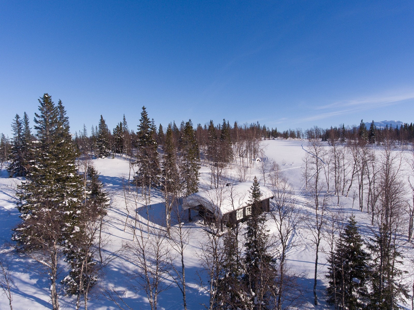 Søråsen hyttegrend har mange flotte tomtemuligheter Galleribilde