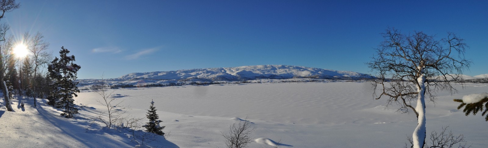 De fleste tomtene med storslått utsikt mot sørvest Galleribilde