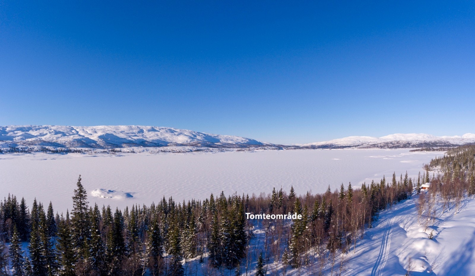 Mot nordenden av hyttegrenda hvor vi finner det laveste punktet i området Galleribilde