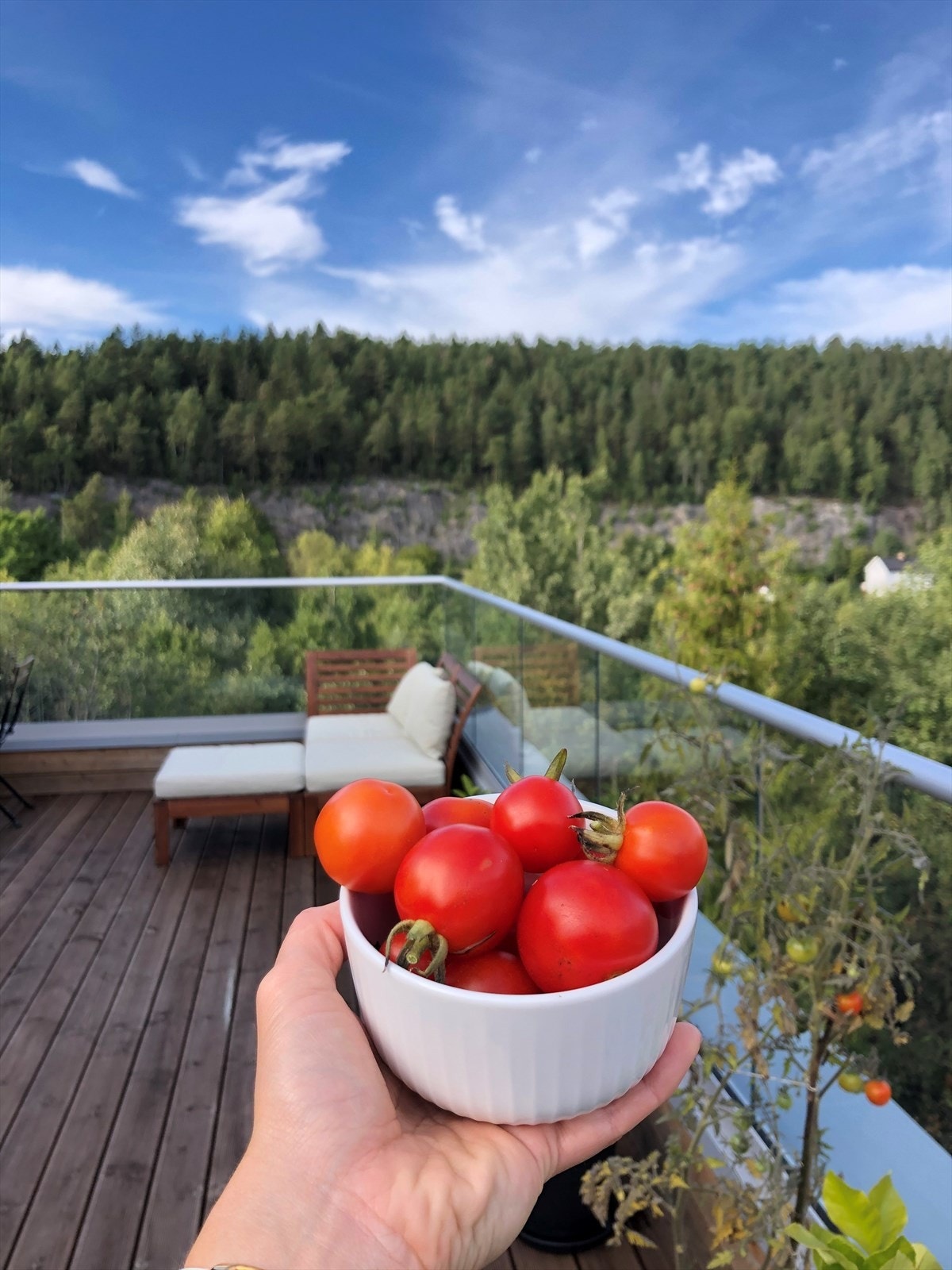 Sommerbilde tatt av selger. Galleribilde