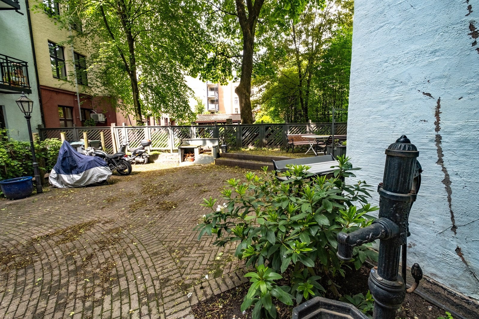Grønn og fin bakgård Galleribilde