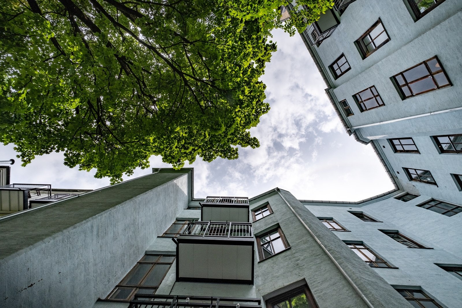Bakgård Galleribilde