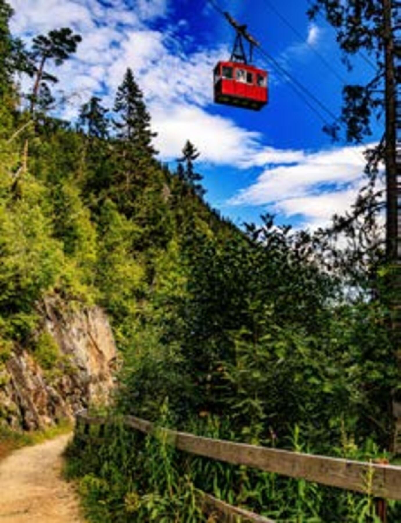 Gondolbane til toppen sommer som vinter Galleribilde