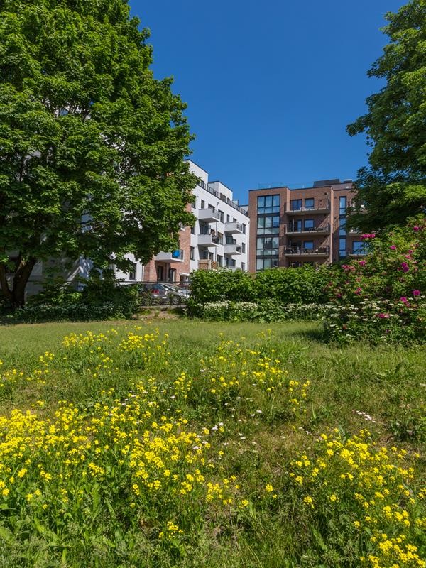 Gård 3 Galleribilde