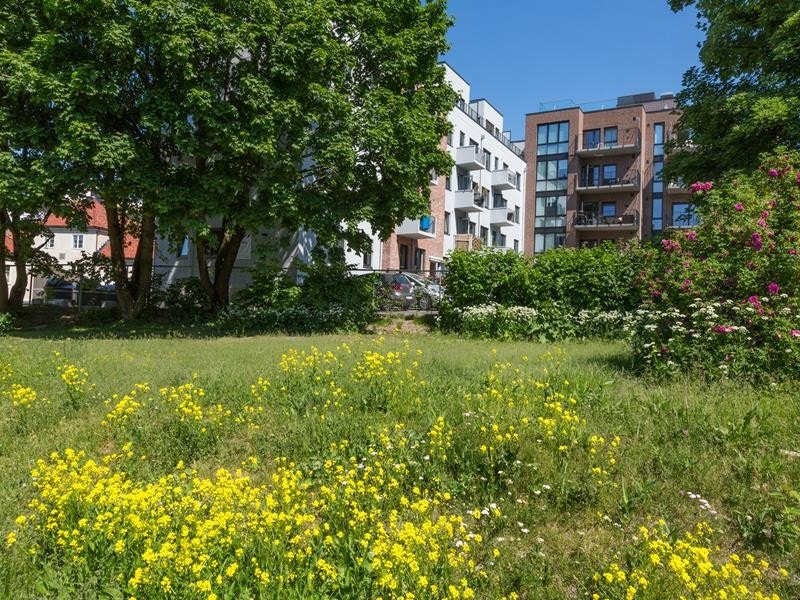 Gård 4 Galleribilde