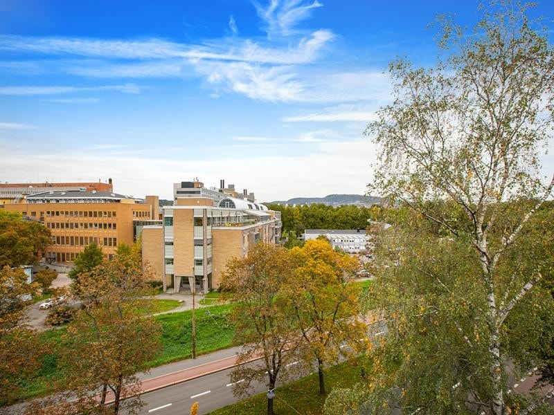 Utsyn fra takterrasse Galleribilde