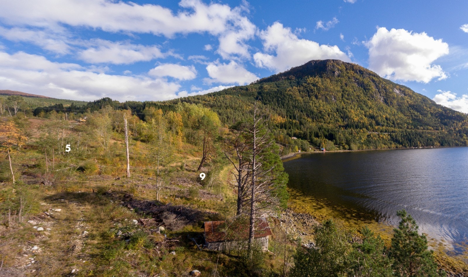 Her ser vi mot øst og de nærmeste tomtene BFR5 og BFR 9. Resten av tomtene er plassert i bak-kant på to rekker av 5 og 9 Galleribilde