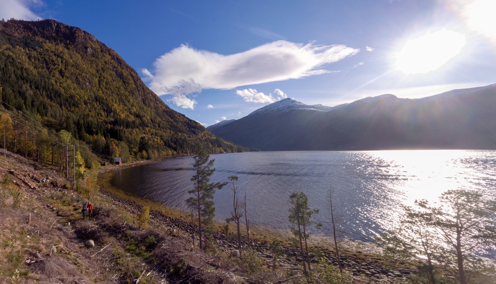 Den nederste rekken av tomter ned mot fjorden ligger i svakt skrånende terreng, mens øverste rekke i relativt skrått terreng Galleribilde
