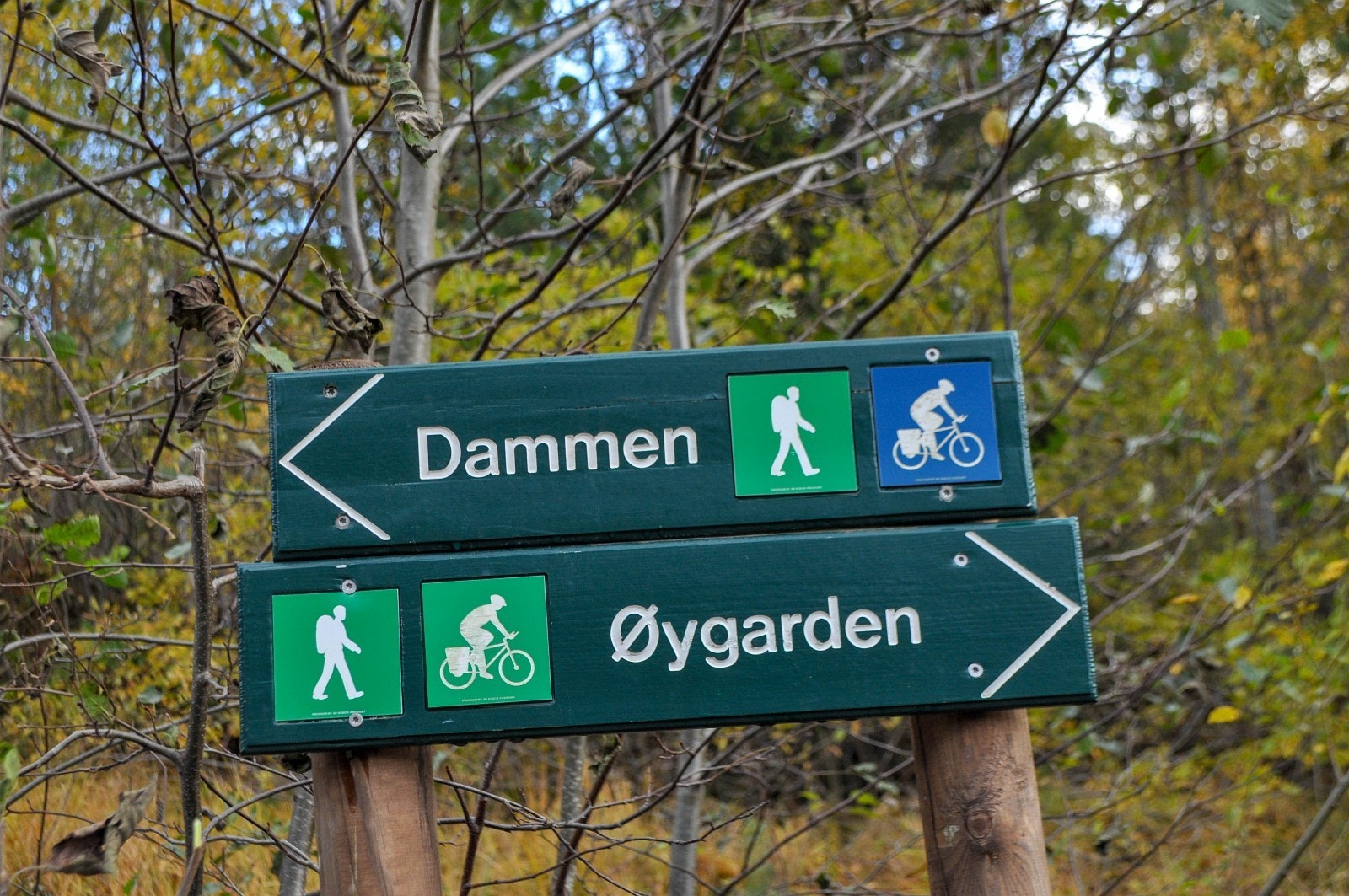 Rett opp for tomteområdet har du tilgang på turstier og løyper for sykkel på sommers tid og skiløyper på vinters tid Galleribilde