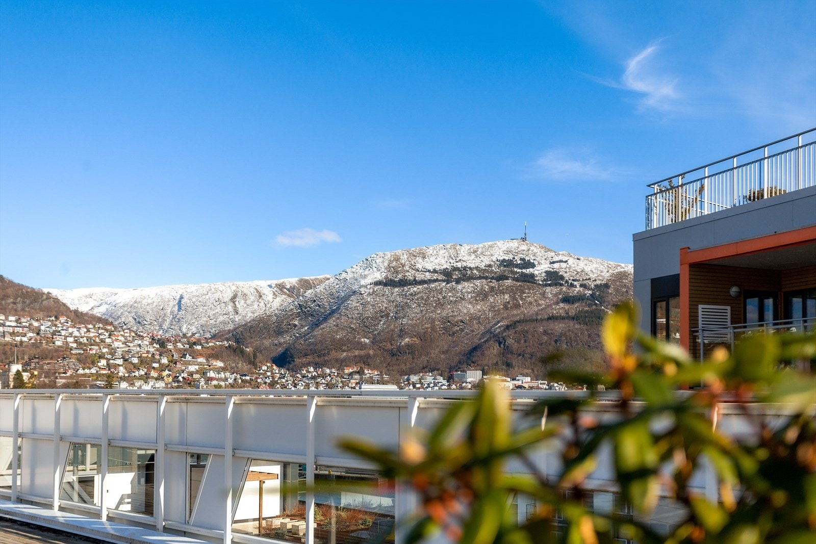 Utsikt fra takterrasse. Galleribilde