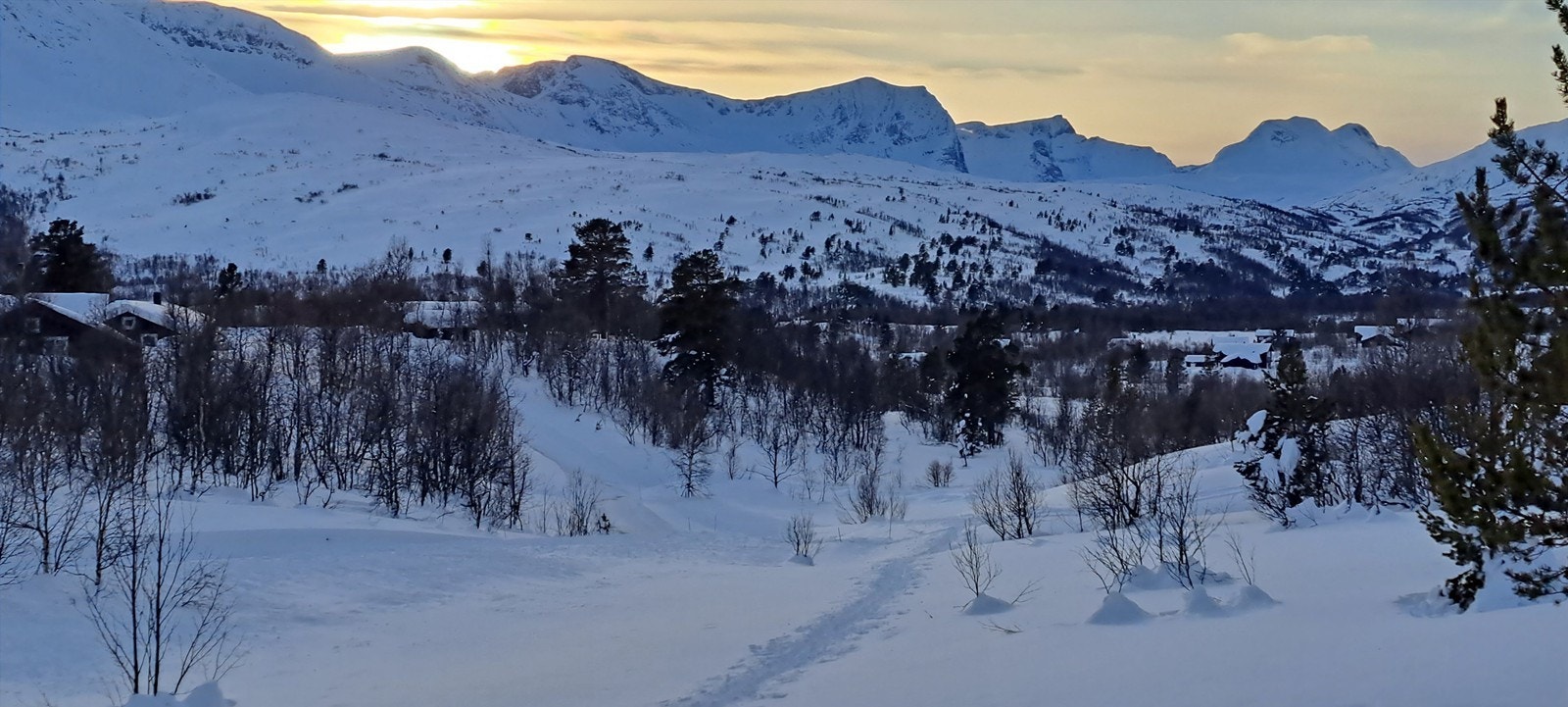 Selgers private bilder. Galleribilde