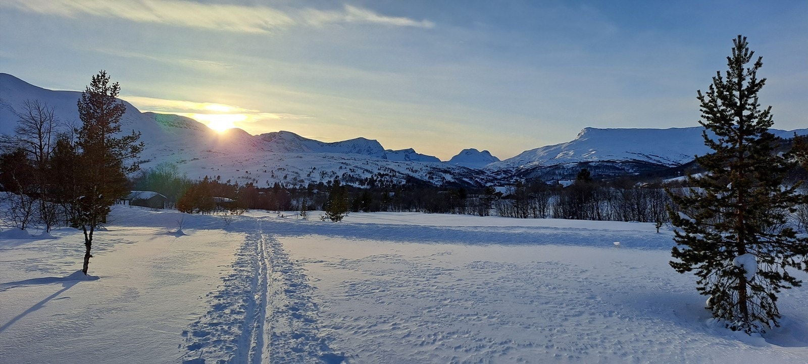 Selgers private bilder. Galleribilde