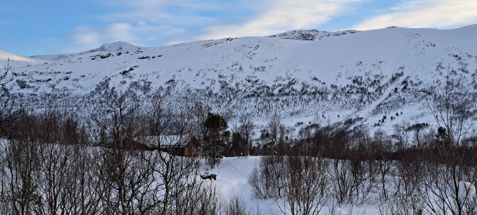 Selgers private bilder. Galleribilde