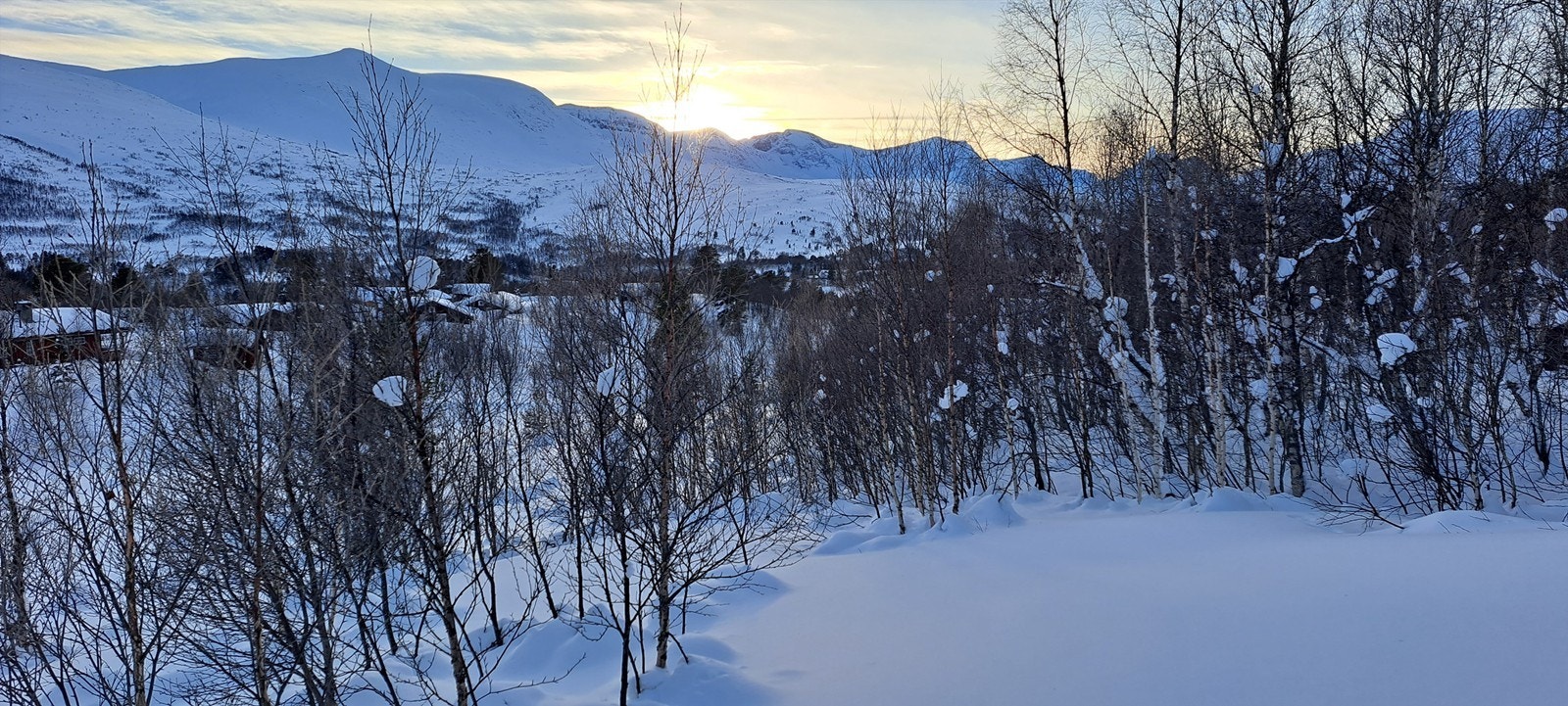 Selgers private bilder. Galleribilde