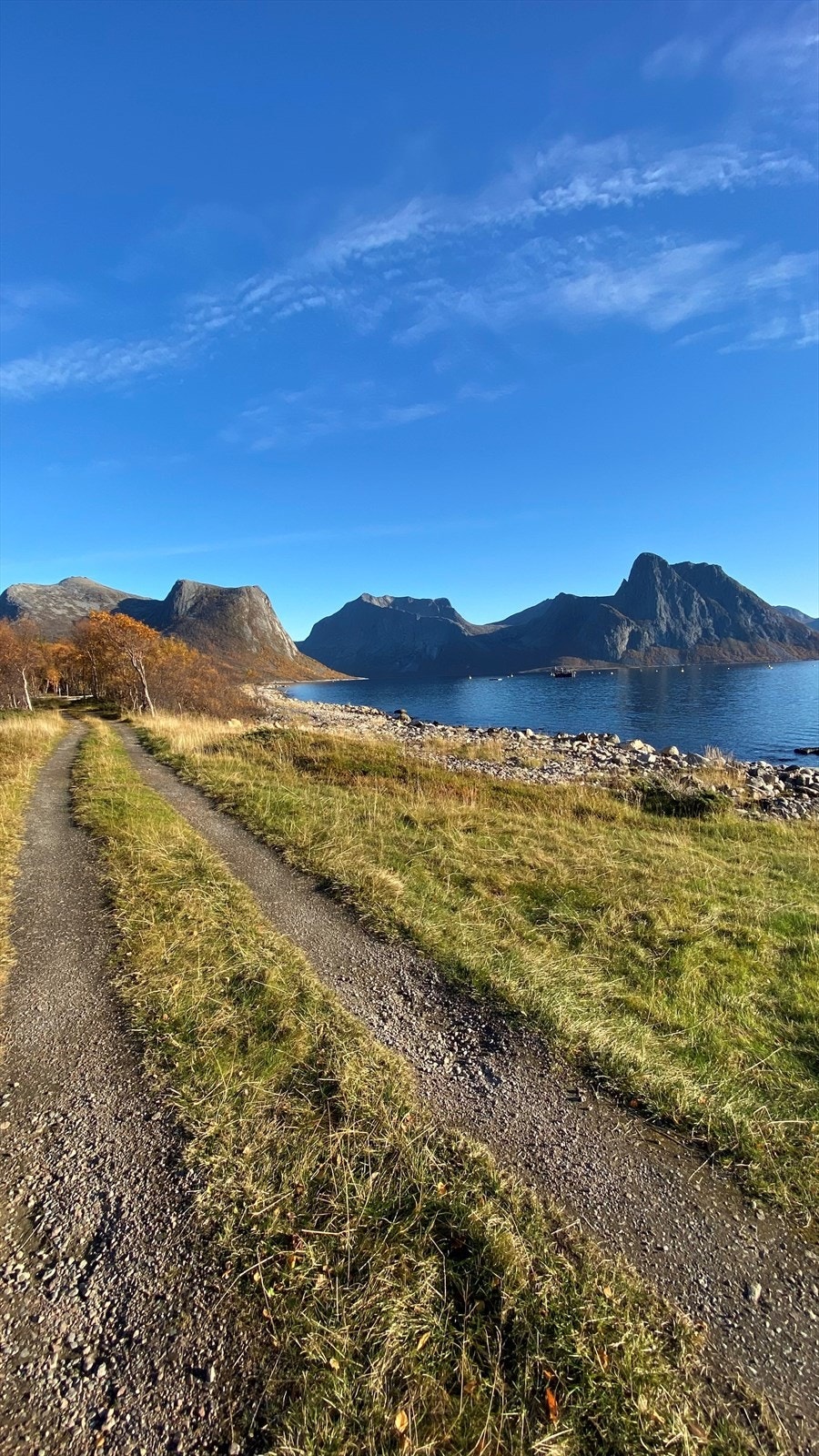 Sjøtomten sett fra veien. Galleribilde