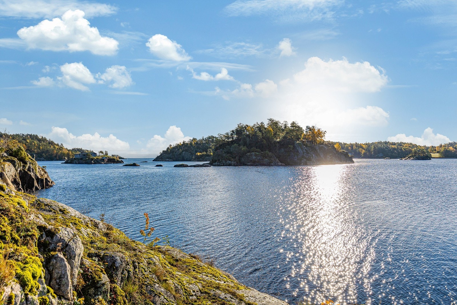 En herlig sommeridyll med panoramautsikt utover fjorden. Galleribilde