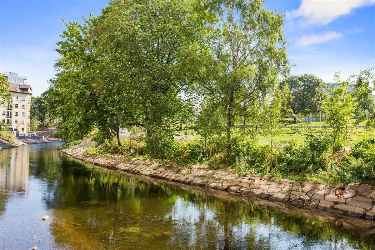 Vakre turområder rett utenfor døren. Galleribilde