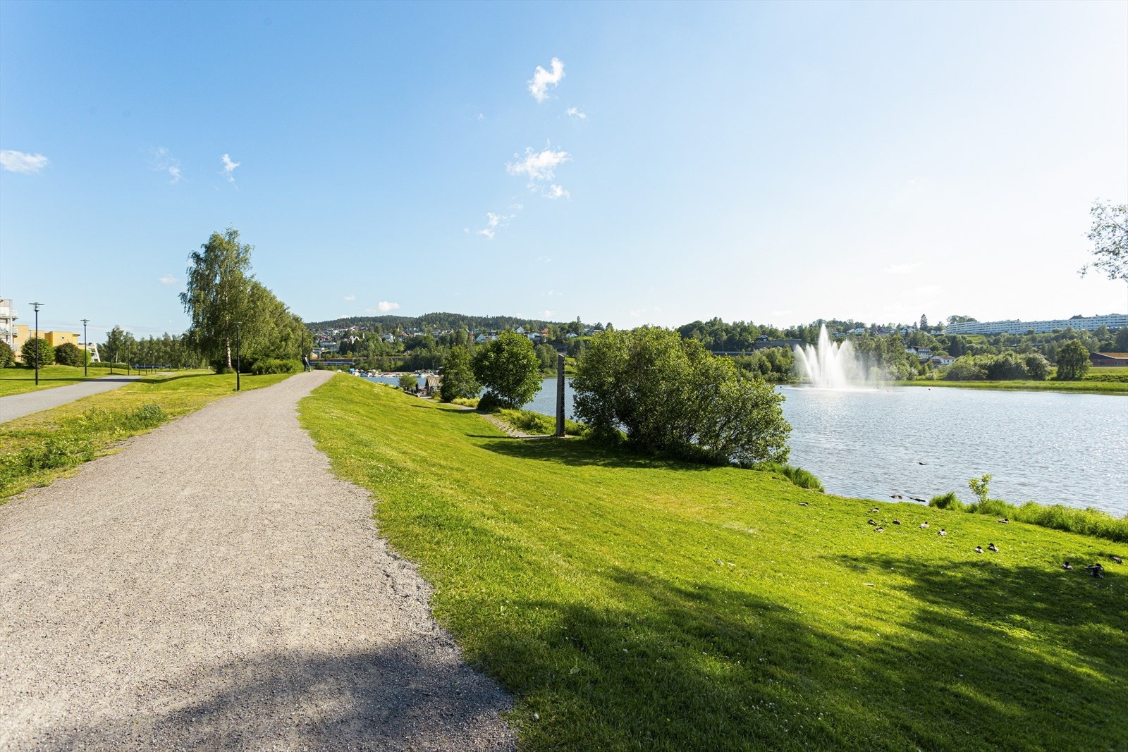 Det er fine gangveier langs Nitelva for en rolig gåtur eller trening. Galleribilde