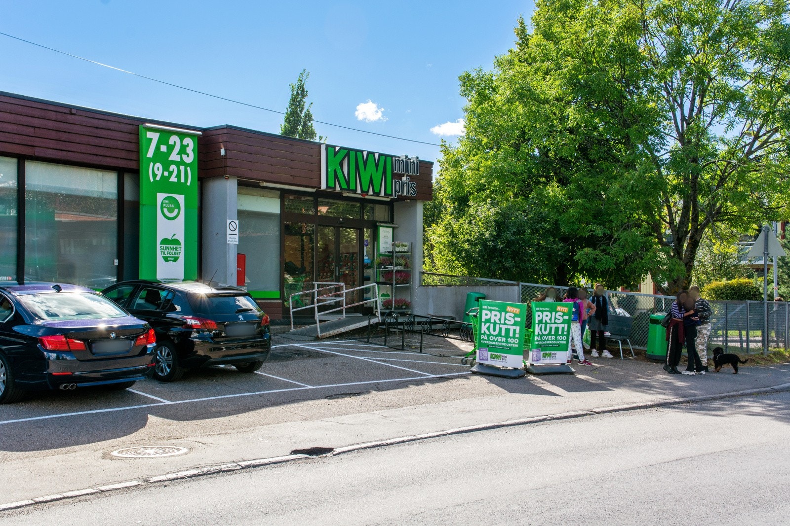 Kiwi på Rødtvet. Galleribilde