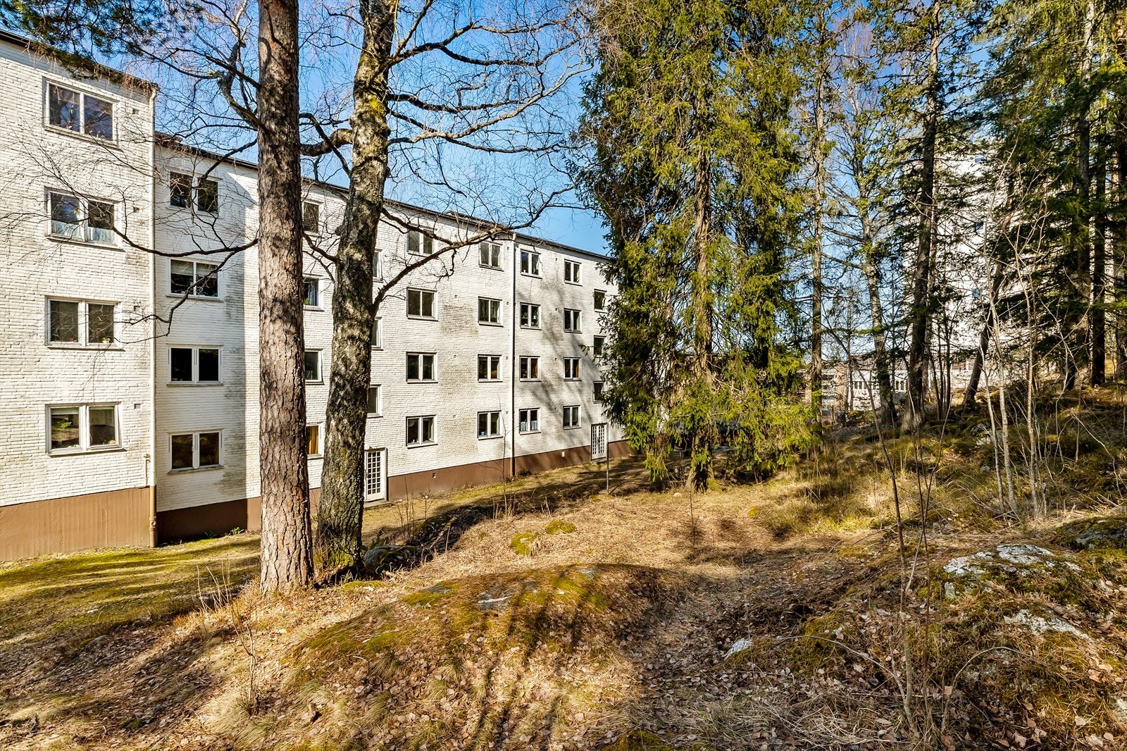 På baksiden vender leiligheten ut mot rolige og grønne omgivelser. Galleribilde