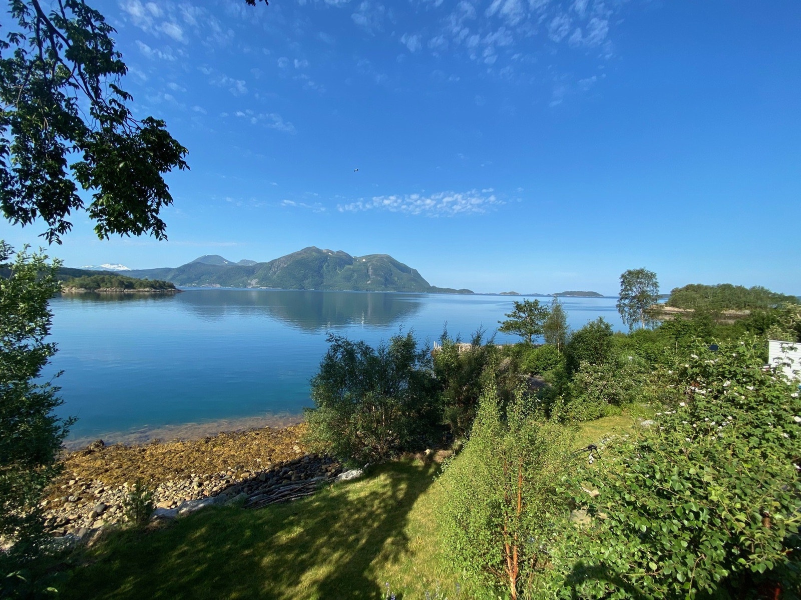 Nærområdet Galleribilde