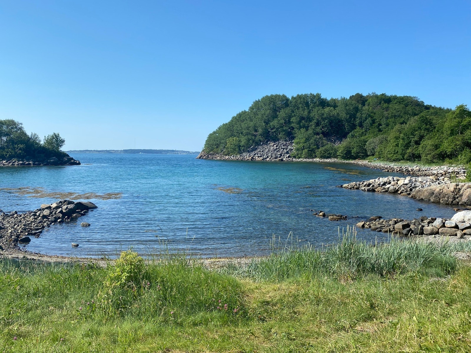 Nærområdet Galleribilde