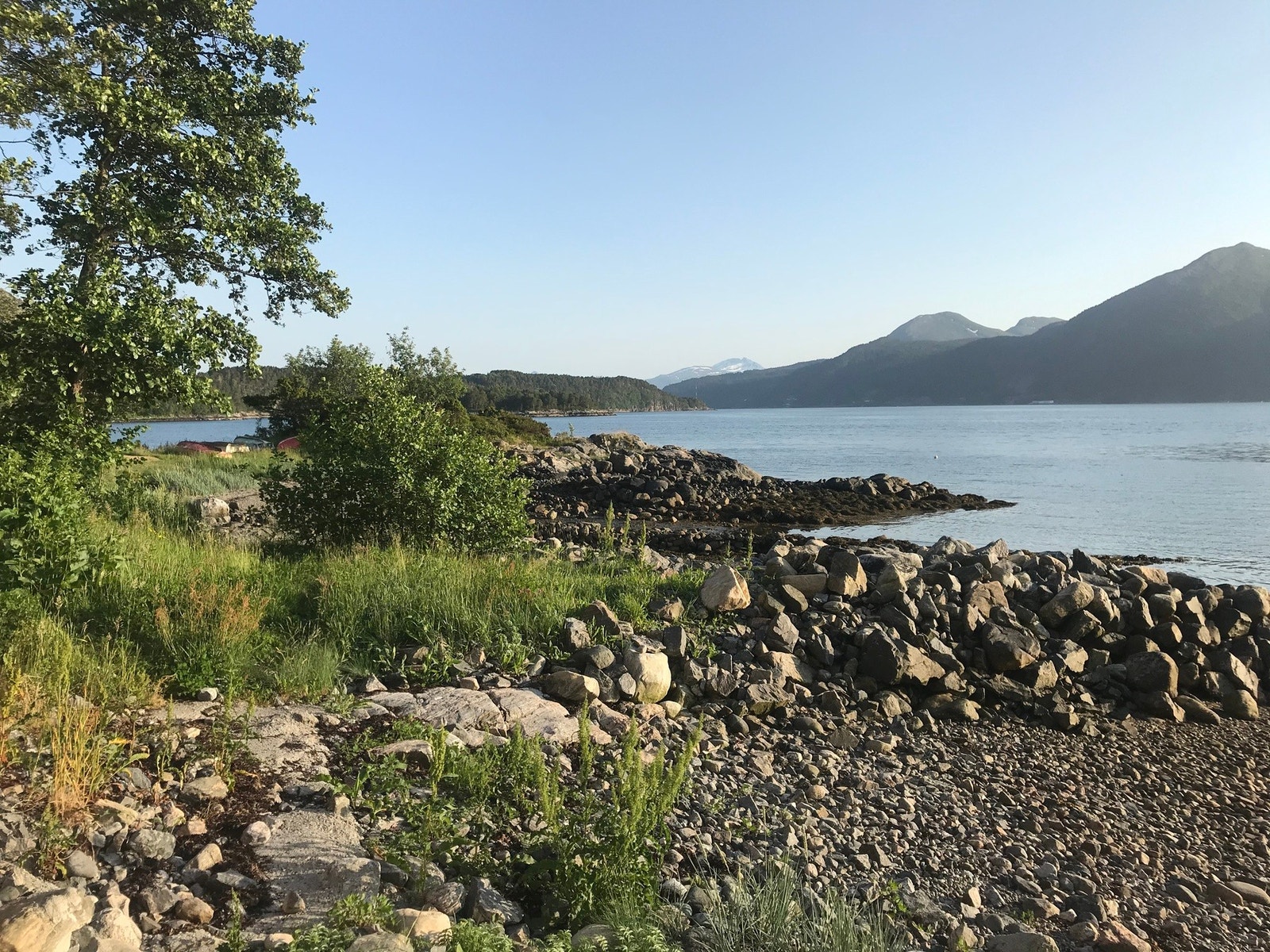 Nærområdet Galleribilde