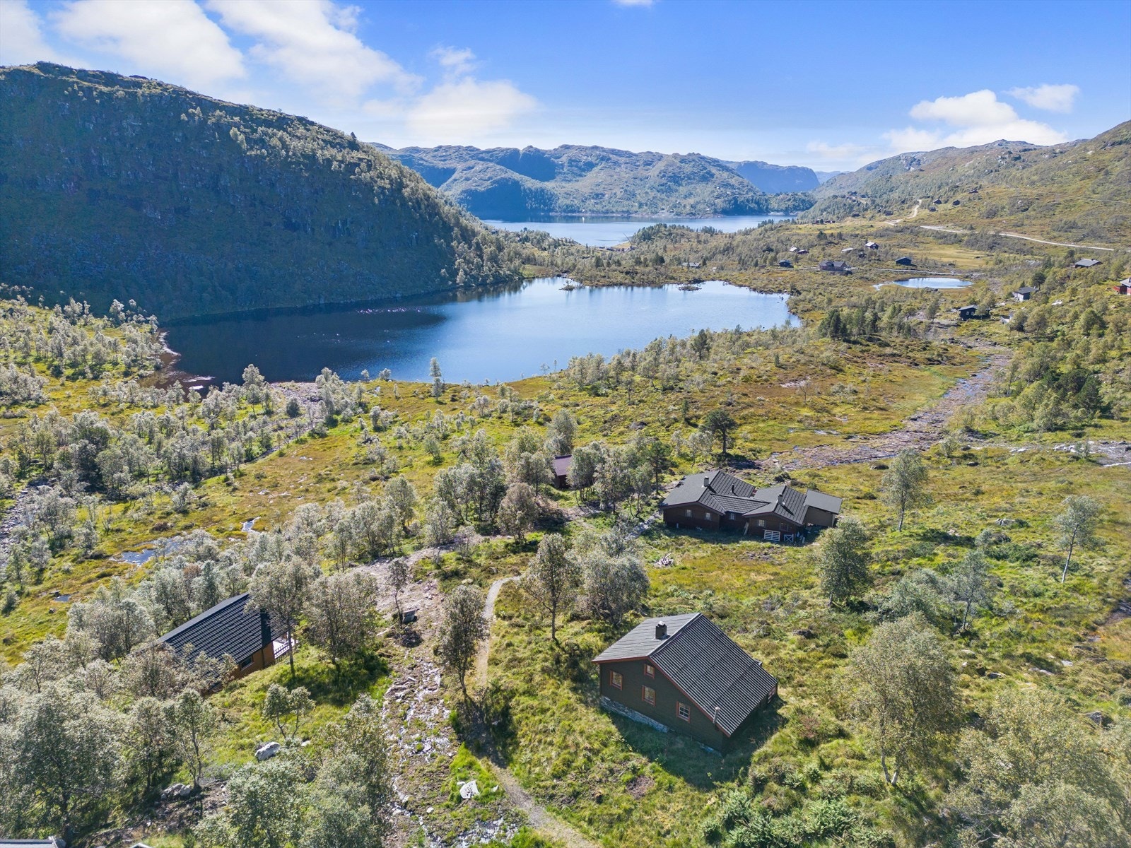 Naturområde. Galleribilde