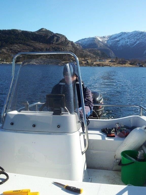 Nyt livet på fjord og hav Galleribilde