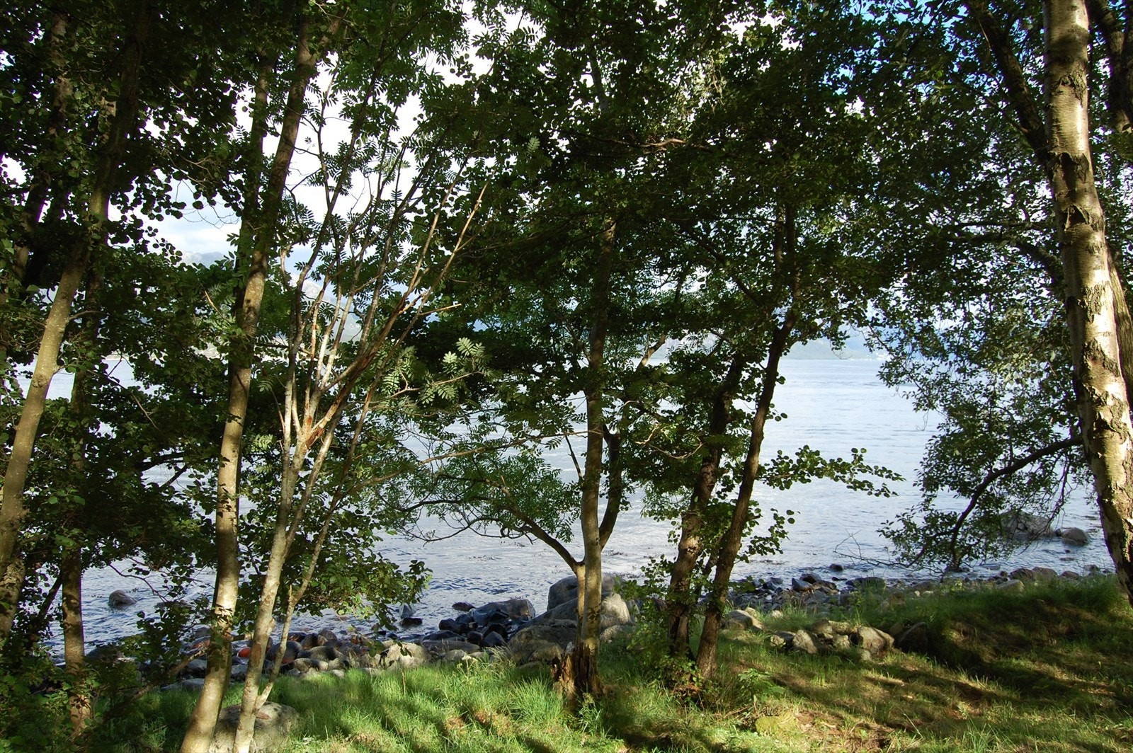 Tomt m strandlinje Galleribilde